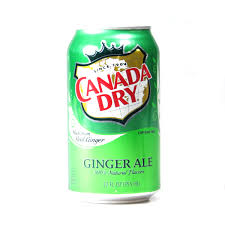 A drink the gods bestowed upon our great nation. Canada Dry Ginger Ale Usa Ware