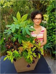 Cette plante a besoin d'une terre bien. Composer Une Jardiniere D Ete Idee Diy Plein Soleil Ou Mi Ombre