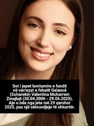 Princeza Koju Je Oteo Zmaj