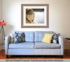 Ashley Framed Prints A Burrowing Owl Showed Up At Our House In El Paso Texas Just After Christmas Wall Art Home De Barn Wood Frames Ashley Furniture Home Decor