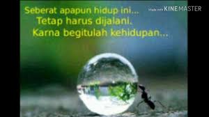 Kata Mutiara Renungan Tentang Kebajikan Inspirasi Kehidupan Agama Buddha Indonesia Youtube