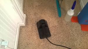 Red Stain Removal With Black Decker Wall Paper Remover Saiger S Steam Clean Grand Rapids Mn Youtube