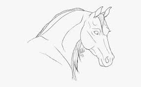 Printable horse head coloring pages free adults for advanced bella. Coloring Pages Of Arabian Horse Heads Free Transparent Clipart Clipartkey