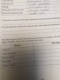 This is a list of muscles tested on in the muscular system portion of anatomy and physiology. Solved 4 List The Muscles Responsible For Normal Inspira Chegg Com