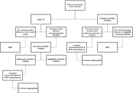 Flow Chart For The Evaluation Of Patients With Heart Failure