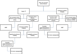 flow chart for the evaluation of patients with heart failure