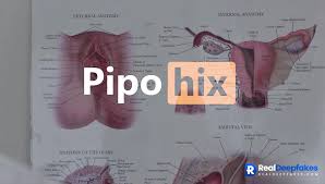 Gynecologist Fucking Her And Husband Cuckold Watching, Charli DAmelio Ai ⭐  RealDeepfakes