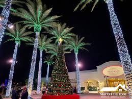 This is why you dont put christmas lights on a palm tree. Outdoor Lighting Phoenix Christmas Light Installation Phoenix Az