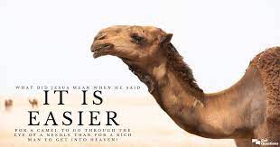 The eye of a needle was a mountain pass traders, in biblical times, had to unpack their camels to get them through. What Did Jesus Mean When He Said It Is Easier For A Camel To Go Through The Eye Of A Needle Than For A Rich Man To Get Into Heaven Gotquestions Org