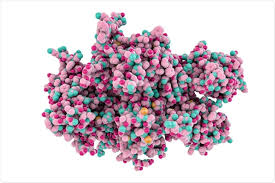 Check spelling or type a new query. Host Cells For Producing Recombinant Proteins