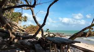 Just booked in miami beach 4 properties like el paseo hotel were just booked in the last 15 minutes on our site. Las Mejores Calas Y Playas De Miami Costa Cruceros
