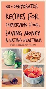 60 Dehydrator Recipes For Preserving Food Saving Money Eating Healthier Real Food Recipes Dehydrator Recipes Recipes