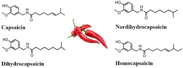 Image result for Capsaicin
