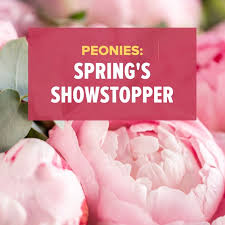 Save up to (10% off).grab a free coupon codes and sale | $10 off selected items. Trias Flowers Gifts Home Facebook