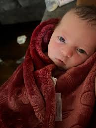 What are good family photographers around Stuarts Point?