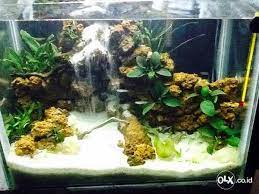 Apakah Anda Pernah Lihat Aquarium Yang Didalamnya Ada Air Terjun Mungkin Anda Akan Sangat Heran Kog Bisa Ada Air Terjun Didalam Air Air Terjun Aquarium Air