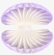 Png Open Clam Shell Clipart 6000x5760 Png Download Pngkit Moves them off my personal fb wall.