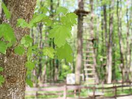 Pe calea spre casă ne putem opri în satul pitaru, locul de naștere al pictorului nicolae grigorescu pe 15 mai 1838. Locuri De Vizitat Langa Bucuresti In Care Sa Te Relaxezi In Weekend