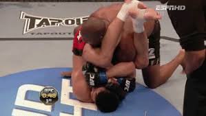 Including all the nuts gifs, cup gifs, and mma gifs. Armbar Machida Violence Gif Find On Gifer