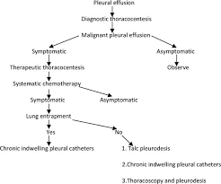 Useful for differentiating pleural effusions from consolidation (e.g. Pleural Effusions In Lung Cancer Detection And Treatment Intechopen