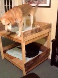 diy pet bunk bed plans to build dog bed pallet furniture plans lit pour chien en palettes lits superposes pour chiens lit chien