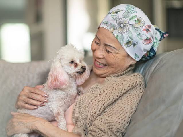 Using AI and Genetics to Find Treatments for Dog and Human Cancer - Business Insider