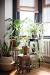 How To Decorate A Bay Window For Christmas