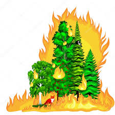 Amazon ormanlarında son 48 saatte 2000'e yakın yeni orman yangını başladı. Orman Yangini Vektorler Orman Yangini Vektor Cizimler Vektorel Grafik Depositphotos