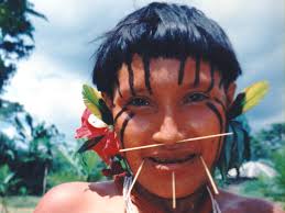 Pflanzenschätze :: Pflanzenforschung.de