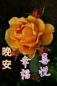 Pin By May Chua On Good Night Wishes In Chinese Beautiful Flowers Amazing Flowers Rose Flower