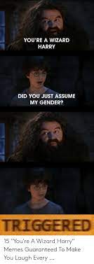Enjoy this list of the 15 funniest you're a wizard, harry memes to prove. You Re A Wizard Harry Did You Just Assume My Gender Triggered 15 You Re A Wizard Harry Memes Guaranteed To Make You Laugh Every Meme On Me Me