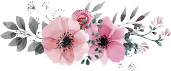 The Floral Patterns Tumblr Flower Pink Flowers Background Pink Watercolor Flower
