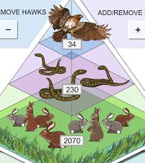 Food chain prior knowledge questions do these before using the gizmo. Https Www Cambriansd Org Cms Lib Ca01902282 Centricity Domain 390 Gizmo 20food 20chain Pdf