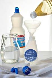 Pin Su Pulizia Vetri Fai Da Te