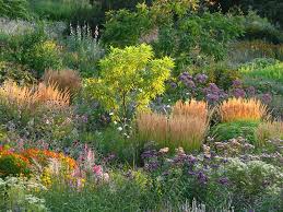 Vivid Mixed Planting At Hermannshof A Public Experimental Garden Weinheim Germany Garten Bepflanzung Cottage Garten