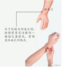 穴位大全| 自由微信| FreeWeChat