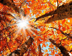 September is the ninth month of the year in the julian and gregorian calendars, the third of four months to have a length of 30 days, and the fourth of five months to have a length of fewer than 31 days. Why It S Easier To Make September Resolutions Not New Year S Resolutions Grazia
