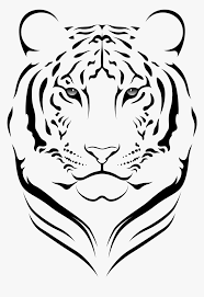 Download free png images transparent backgrounds. Transparent Tiger Face Png Tigre Png Vector Png Download Transparent Png Image Pngitem