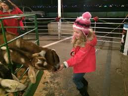 Petting zoo can be obtained through madness at the darkmoon faire card packs, through crafting, or as an arena reward. Petting Zoo Picture Of Charlotte Motor Speedway Concord Tripadvisor