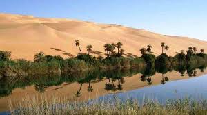 Gurun Sahara akan Berubah Menjadi Kawasan Subur Setiap 20.000 Tahun -  Tribunjogja.com