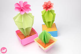 A cactus is a member of the plant family cactaceae, a family comprising about 127 genera with some 1750 known species of the order caryophyllales. Origami Cactus Flower Tutorial Paper Kawaii