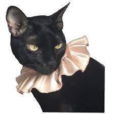 Black Cat Png Art Sketchbook Png Photo And Video