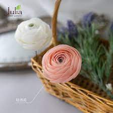 The site owner hides the web page description. èœ¡çƒ›èŠ±è¯ä¹¦ç­