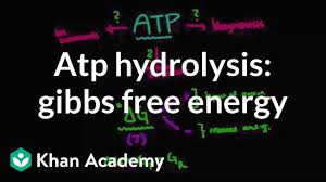 Watch highlights as andrey rublev upsets rafael nadal in three sets to. Atp Hydrolysis Gibbs Free Energy Video Khan Academy