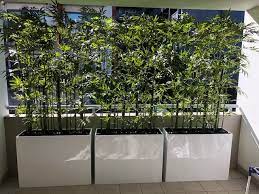 Suitable plants for screening can include hedging shrubs, trees or grasses and bamboos, depending on the level of formality, and the height and spread required for the space. Artificial Plants Used For Screening Plants
