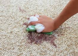 clean vomit out of carpet