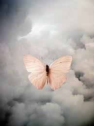 Beautiful Butterfly Butterfly Beautiful Butterflies Clouds