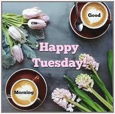 Good Morning Happy Tuesday Goodmorningpost Goodmorning Gm Morning Morningpost Morning Happy Tuesday Morning Good Morning Tuesday Tuesday Morning Wishes