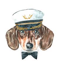 Dachshund Dog Bow Tie Funny Dog Art Dog In Hat Funny Etsy Dog Bowtie Dog Bows Watercolor Dog Portrait