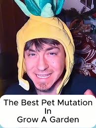 What Does Pet Mutation Do What Does The Mutations Do